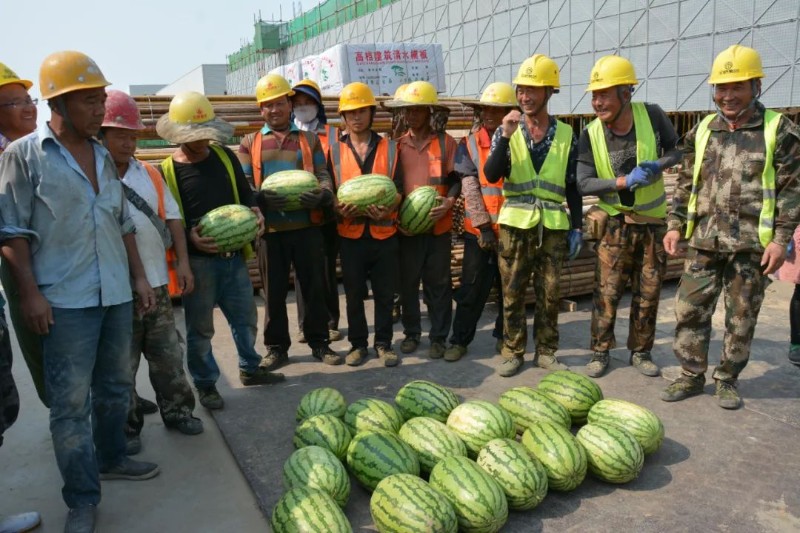 64b77e67bf34c.jpg 8.jpg